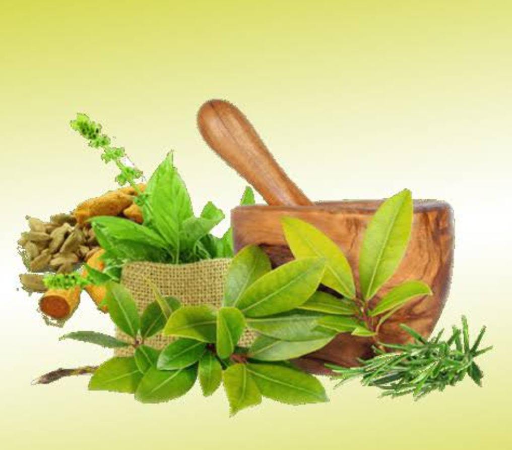 IIOSD DIPLOMA IN AYURVEDA